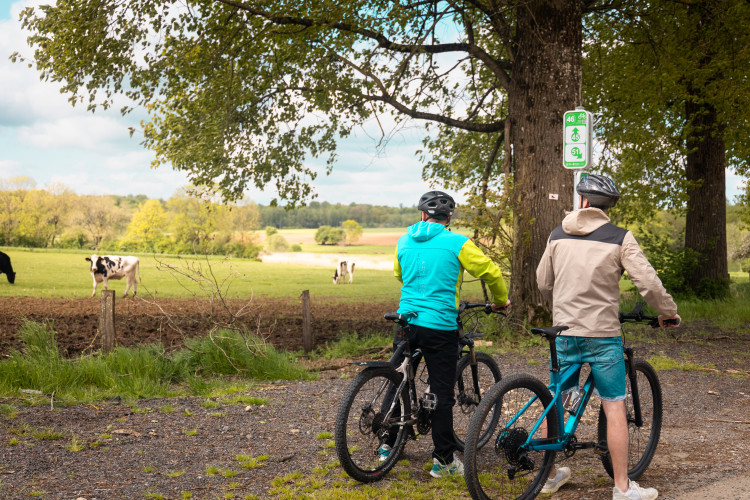 Balade à vélos